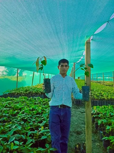 Leoncio Tafur