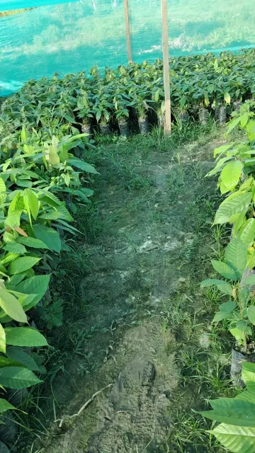 Espacios carril vivero